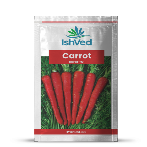 Carrot - 901