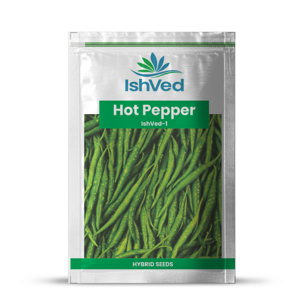 Hot pepper (Chilli) - 1