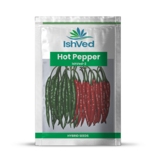 Hot pepper (Chilli) – 2