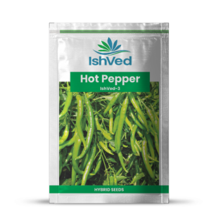 Hot pepper (Chilli) – 3