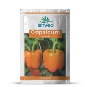 Capsicum – 77