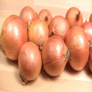 Onion – 375