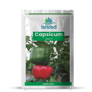 Capsicum – 76