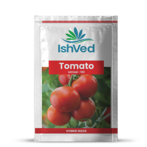 Tomato – 103
