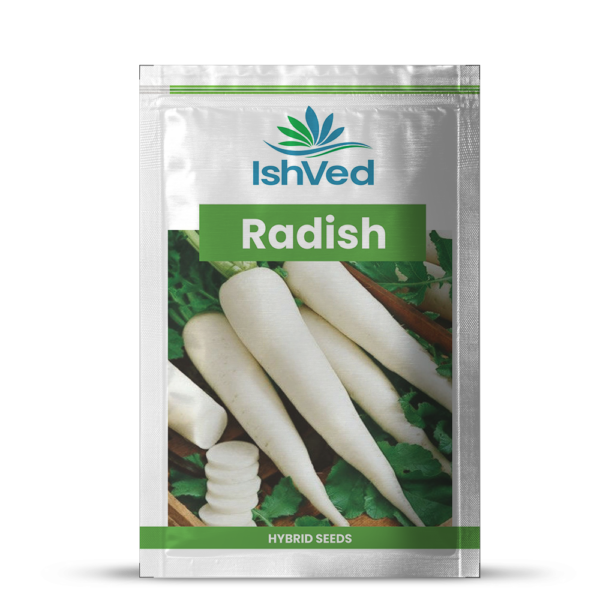 Radish - 02