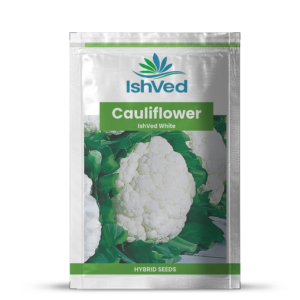 Cauliflower – 05