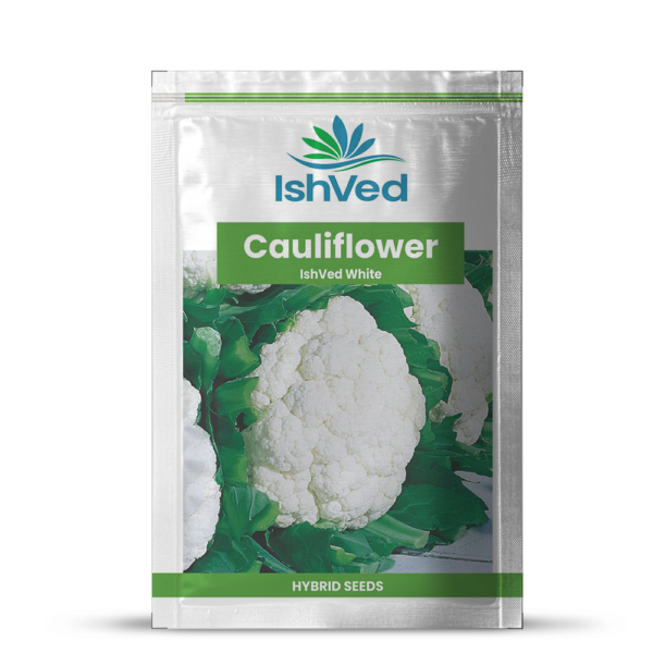 Cauliflower - 05