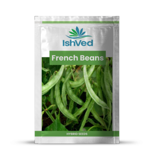 French Beans – 07