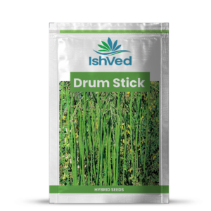 Drum stick – 09