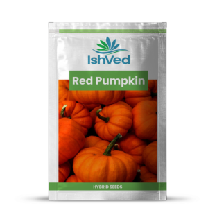 Red Pumpkin – 11