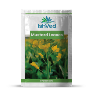 Mustard Leaves – 12