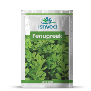 Fenugreek – 13