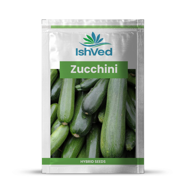 Zucchini - 19