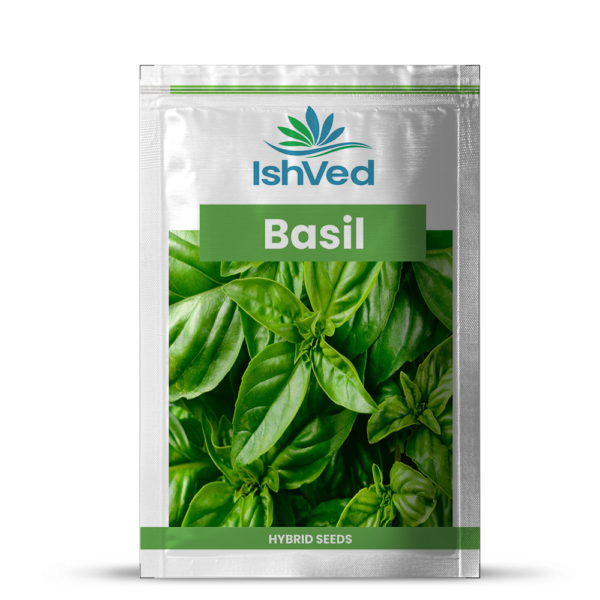 Basil - 21