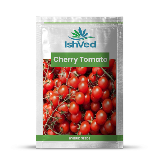 Cherry Tomato - 22