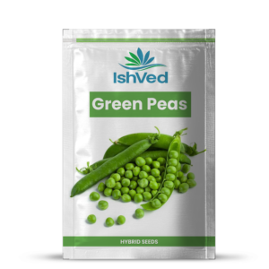 Green Peas – 14