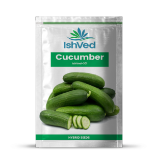 Cucumber – 301