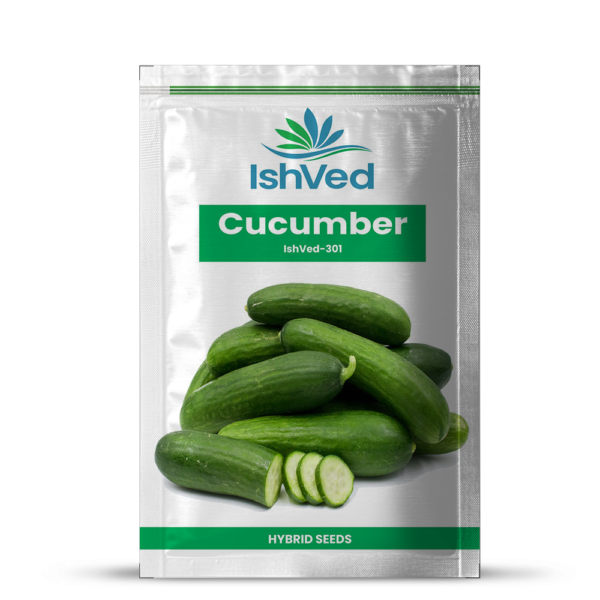 Cucumber - 301