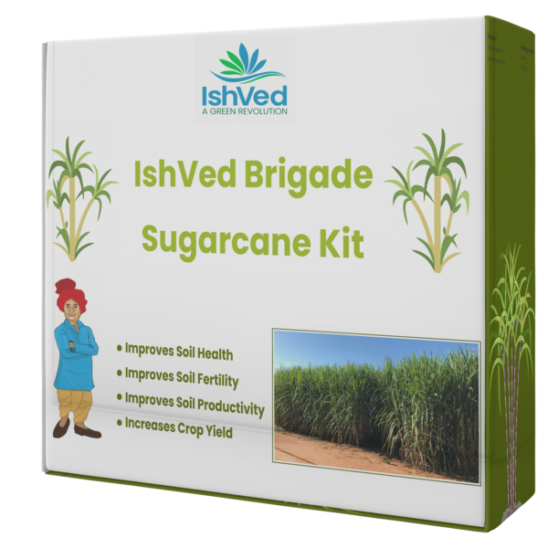 IshVed Brigade Sugarcane Kit