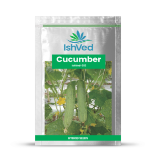 Cucumber – 302